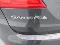 Hyundai Santa Fe SE Iron Frost photo #13
