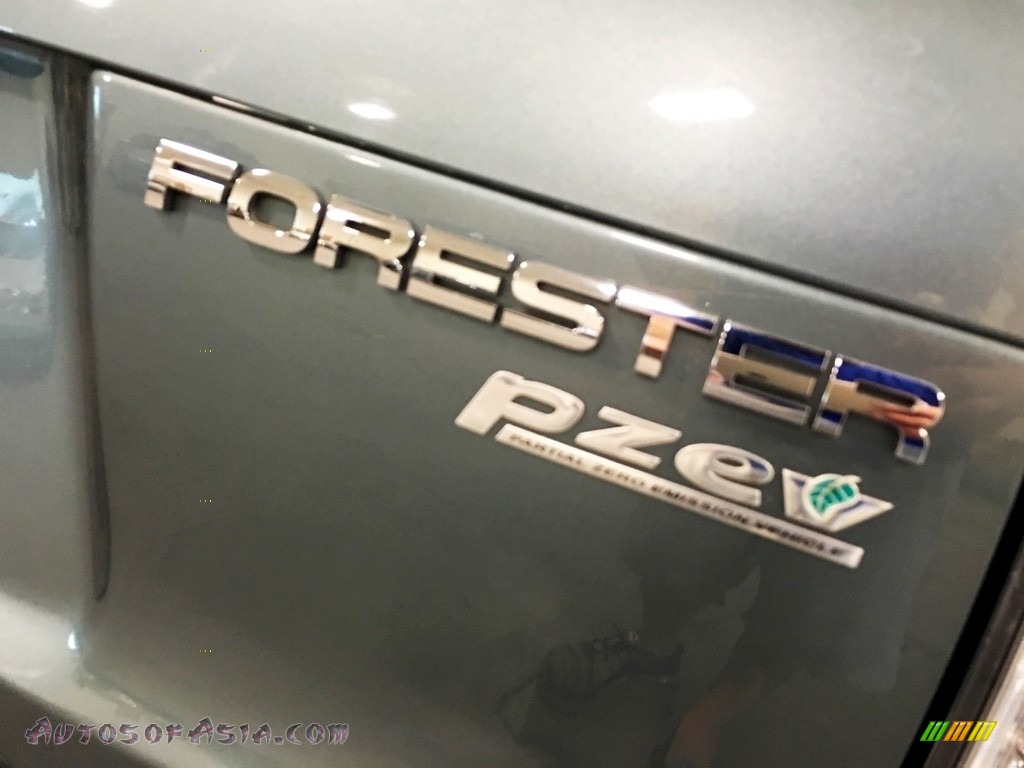 2010 Forester 2.5 X Premium - Sage Green Metallic / Platinum photo #102