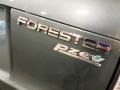 Subaru Forester 2.5 X Premium Sage Green Metallic photo #102