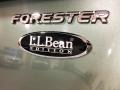 Subaru Forester 2.5 X L.L.Bean Edition Evergreen Metallic photo #53