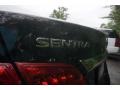 Nissan Sentra SV Super Black photo #10