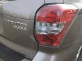 Subaru Forester 2.5i Premium Burnished Bronze Metallic photo #24
