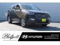 Hyundai Santa Fe Sport  Black photo #1