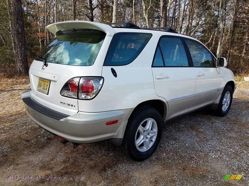 2002 RX 300 AWD - White Gold Crystal / Ivory photo #7