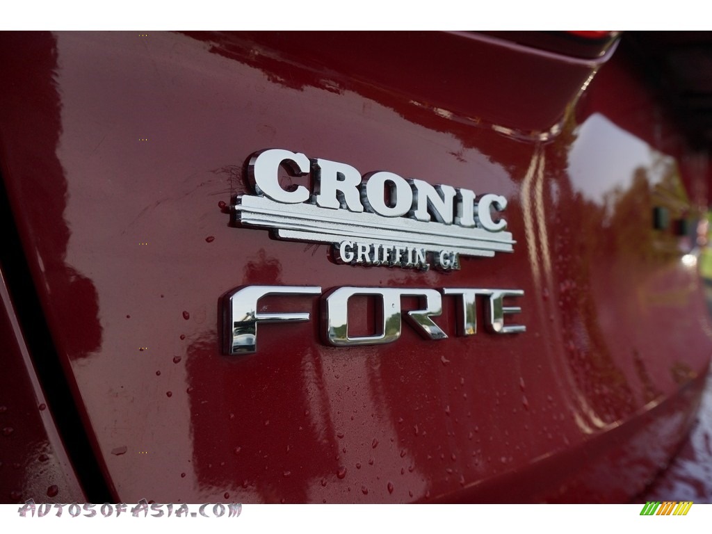 2016 Forte LX Sedan - Crimson Red / Black photo #14