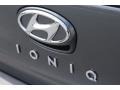 Hyundai Ioniq Hybrid SEL Summit Gray photo #10