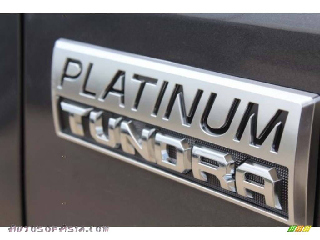 2019 Tundra Platinum CrewMax 4x4 - Magnetic Gray Metallic / Black photo #31