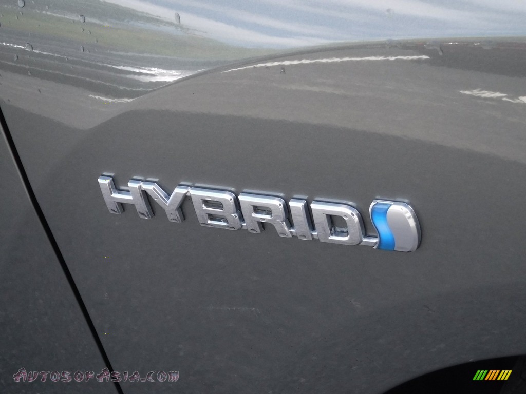 2010 Highlander Hybrid Limited 4WD - Cypress Green Pearl / Sand Beige photo #3