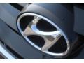 Hyundai Santa Fe GLS Black Forest Green Metallic photo #4