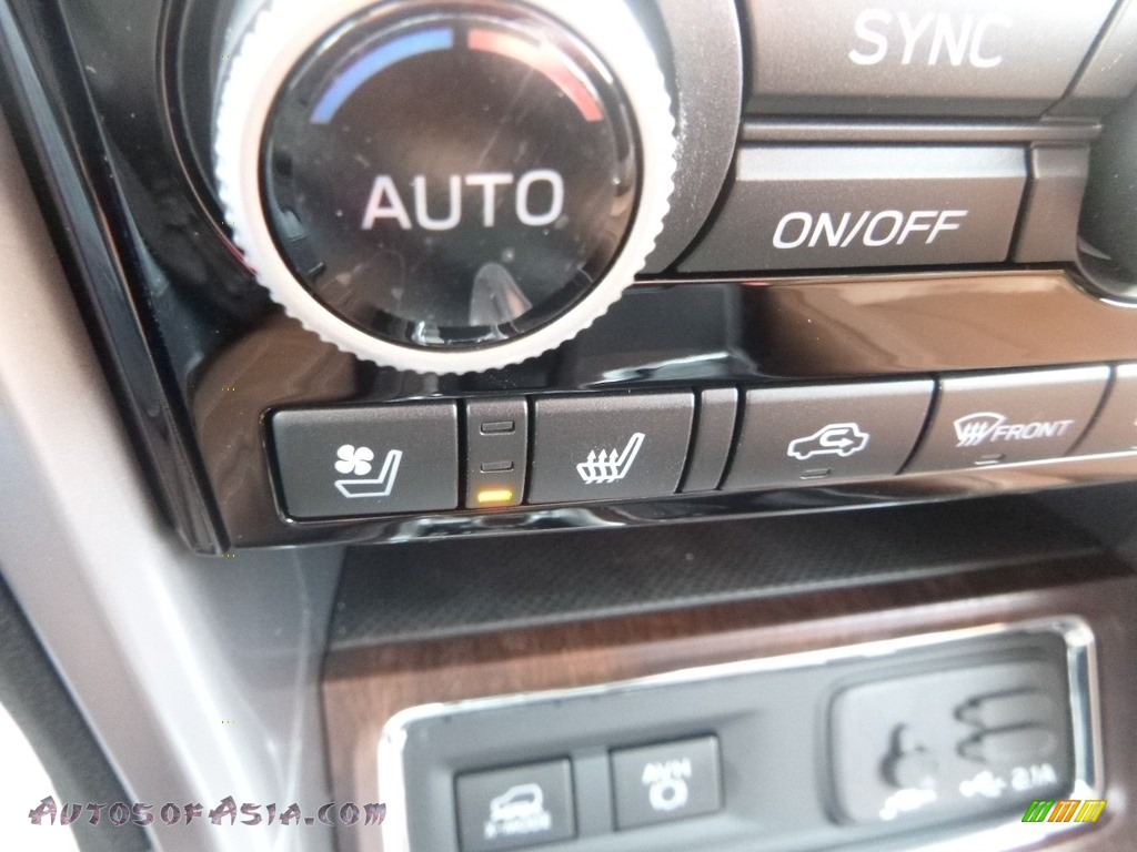 2019 Ascent Touring - Crimson Red Pearl / Java Brown photo #20