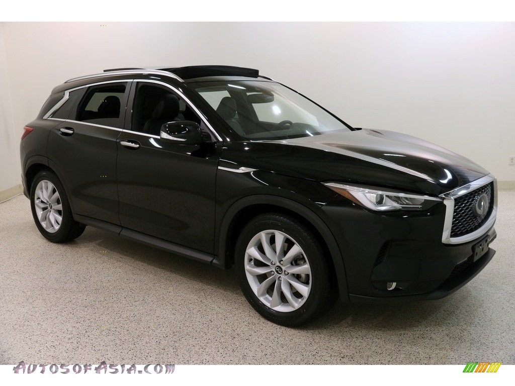 Black Obsidian / Graphite Infiniti QX50 Luxe AWD