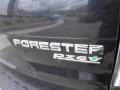 Subaru Forester 2.5 X Steel Silver Metallic photo #11
