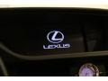 Lexus ES 350 Satin Cashmere Metallic photo #10