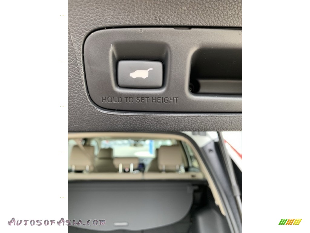 2019 CR-V EX-L AWD - Platinum White Pearl / Gray photo #22