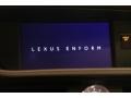 Lexus ES 350 Atomic Silver photo #11