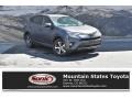 Toyota RAV4 XLE AWD Magnetic Gray Metallic photo #1