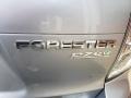 Subaru Forester 2.5 X Premium Ice Silver Metallic photo #33