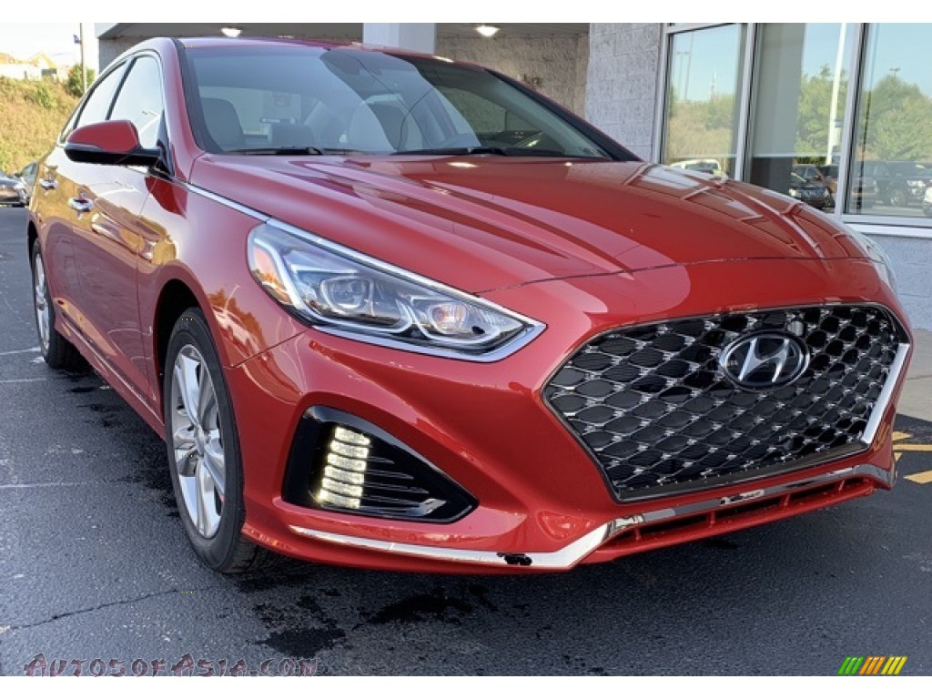 2019 Sonata Limited - Scarlet Red / Gray photo #1
