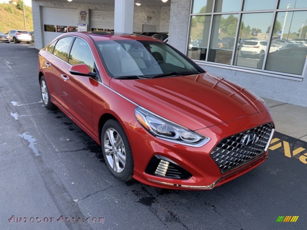 2019 Sonata Limited - Scarlet Red / Gray photo #2