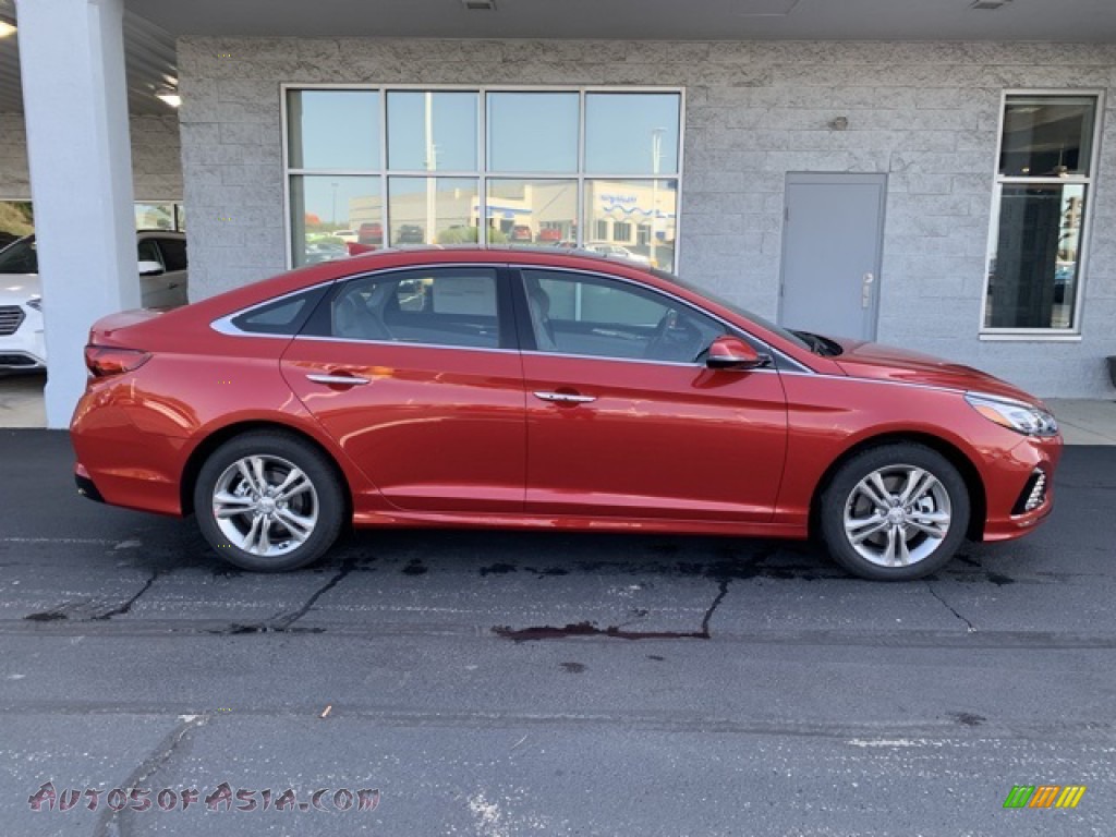 2019 Sonata Limited - Scarlet Red / Gray photo #3