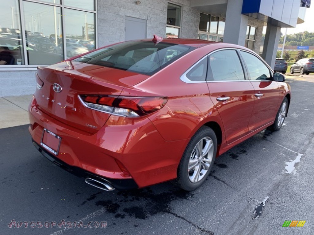 2019 Sonata Limited - Scarlet Red / Gray photo #4