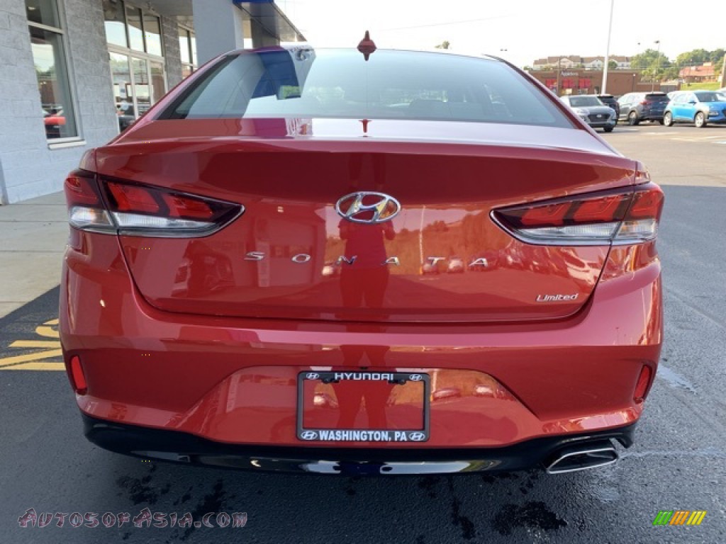 2019 Sonata Limited - Scarlet Red / Gray photo #5