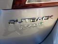 Subaru Outback 2.5i Premium Ice Silver Metallic photo #41