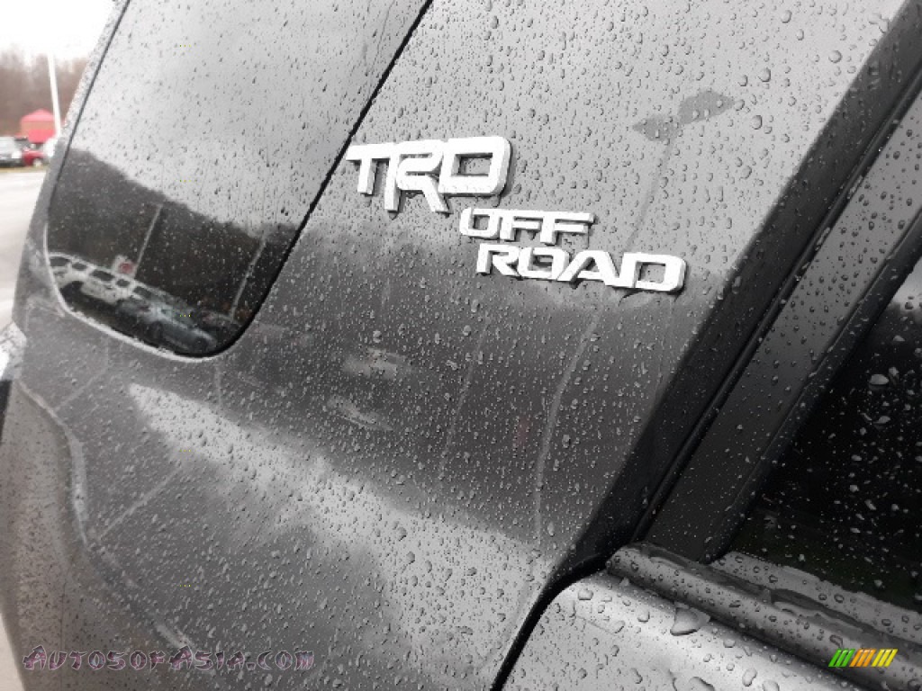 2020 4Runner TRD Off-Road Premium 4x4 - Magnetic Gray Metallic / Black photo #10