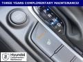 Hyundai Kona Ultimate AWD Thunder Gray photo #30