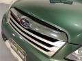 Subaru Outback 2.5i Limited Wagon Cypress Green Pearl photo #77
