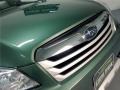Subaru Outback 2.5i Limited Wagon Cypress Green Pearl photo #78