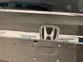 Honda Odyssey EX-L Pacific Pewter Metallic photo #38