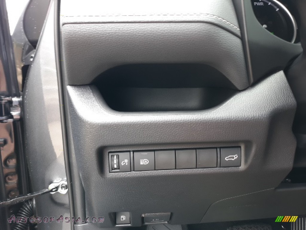 2020 RAV4 XLE AWD Hybrid - Magnetic Gray Metallic / Black photo #10