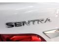 Nissan Sentra S Fresh Powder photo #7
