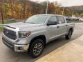 Toyota Tundra TRD Off Road CrewMax 4x4 Cement photo #27