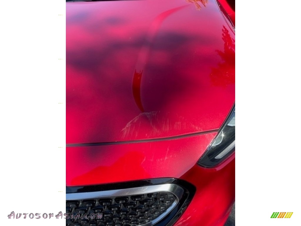 2019 Niro EX Hybrid - Runway Red / Black photo #12