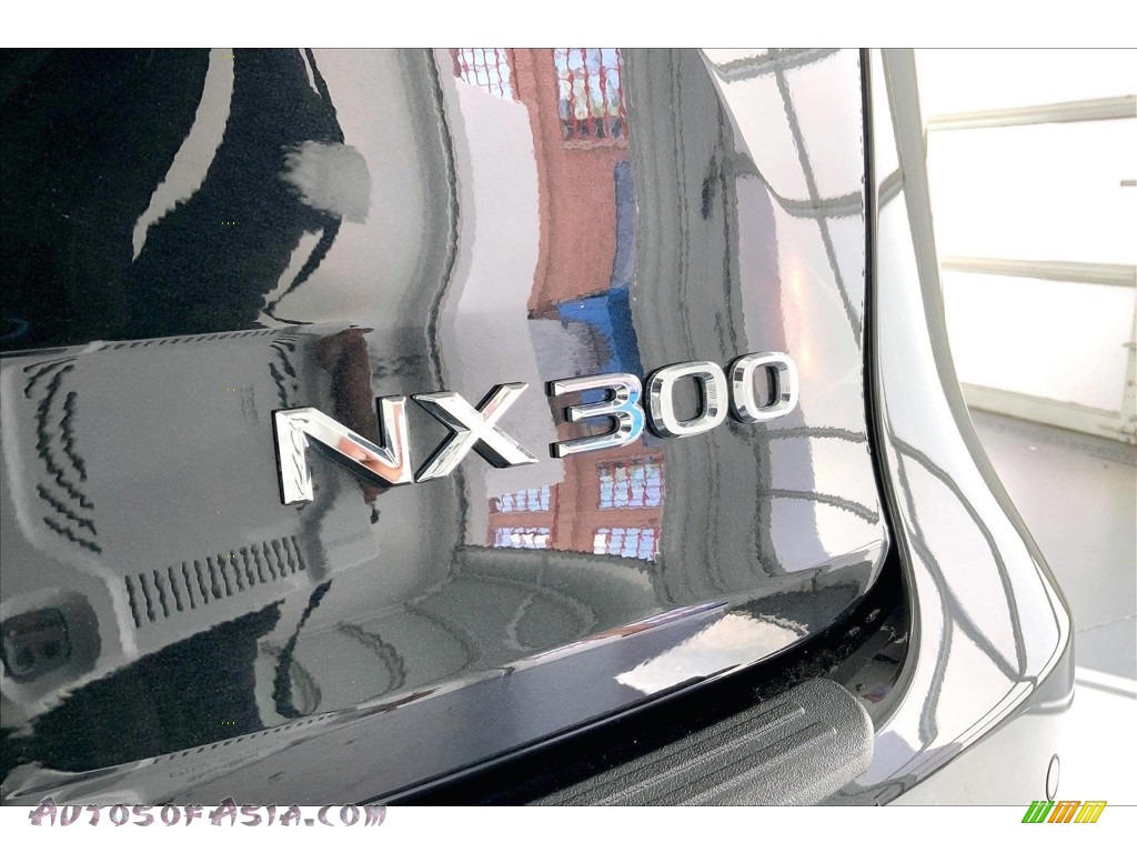 2020 NX 300 - Caviar / Black photo #7