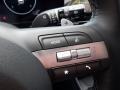 Hyundai Kona SEL AWD Ecotronic Gray Pearl photo #19