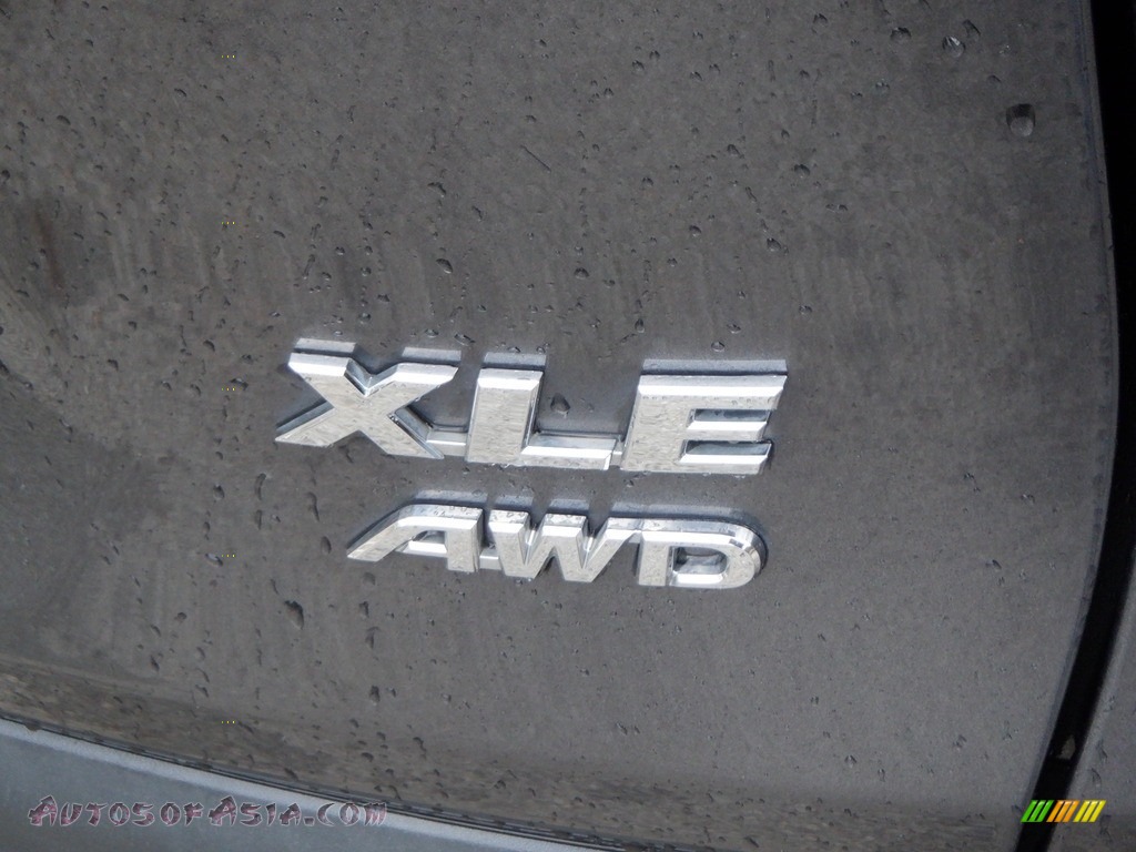 2021 RAV4 XLE AWD - Magnetic Gray Metallic / Black photo #10