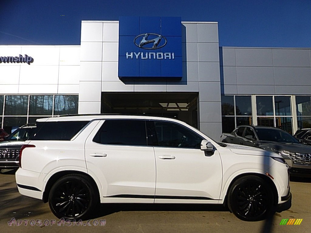 Hyper White / Black Hyundai Palisade Calligraphy Night Edition AWD