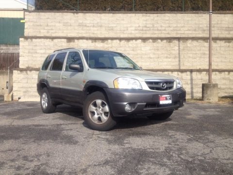 Pebble Ash Metallic 2004 Mazda Tribute LX V6 4WD