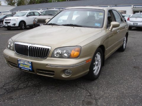 Desert Sand Beige 2002 Hyundai XG350 Sedan