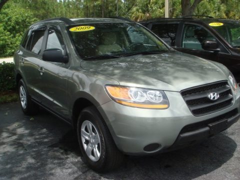 Platinum Sage 2009 Hyundai Santa Fe GLS Platinum Sage 2009 Hyundai Santa Fe GLS