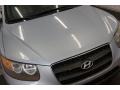 Hyundai Santa Fe GLS 4WD Bright Silver photo #38